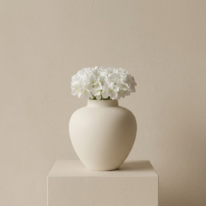 Amy Vase-Z