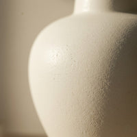 Amy Vase-Z