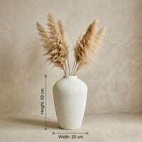 Eric Vase-YC