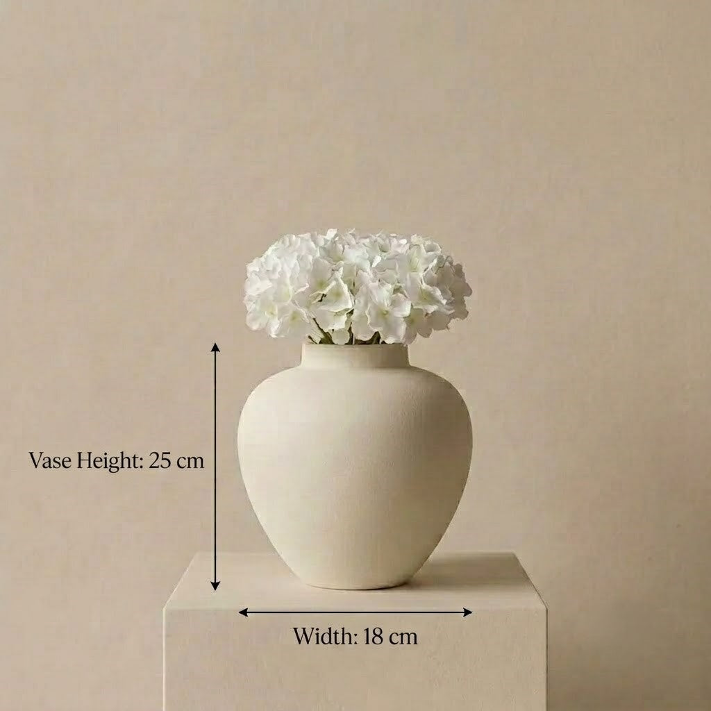 Amy Vase-Z